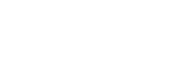 全球服务网络