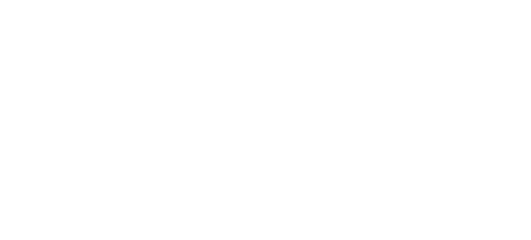 Service Network